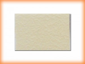 Piel-35.jpg